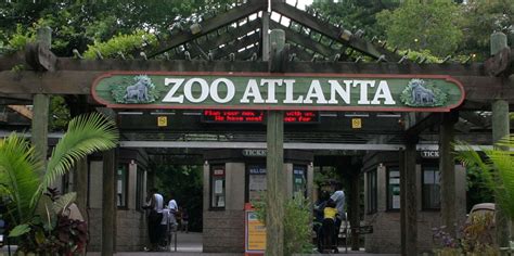 Zoo Atlanta, Atlanta - Book Tickets & Tours | GetYourGuide