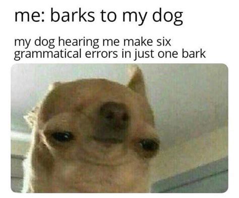 barking grammar | Dogs | Know Your Meme