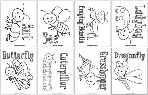 Unique Bug Coloring Pages For Toddlers Free Printable Insect Worksheets