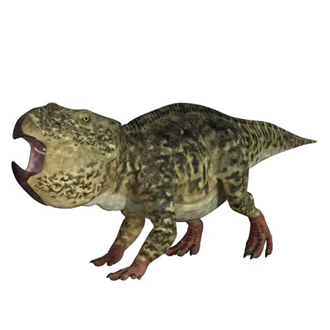 udanoceratops dinossauro isolado 3d render 21013838 PNG