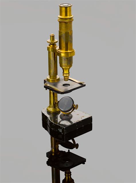 Microscope of Louis Pasteur (Illustration) - World History Encyclopedia