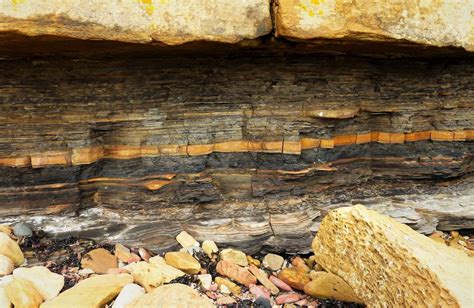 Sedimentary Rocks: Formation, Types, Examples – Geology In