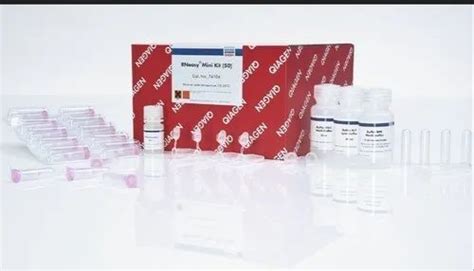 Qiagen Rneasy Mini Kit at best price in New Delhi by Qiagen India Pvt. Ltd. | ID: 21484426948