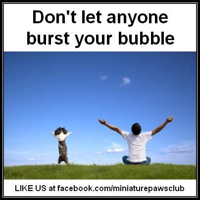 Don't Let Anyone Burst Your Bubble | Funny dog captions, Cute small ...