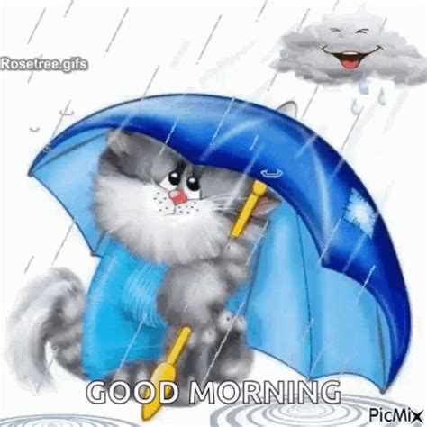 Rain Morning GIF - Rain Morning Mornin - Discover & Share GIFs | Cute cat, Good morning rain ...