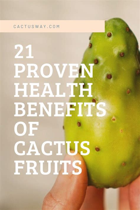 21 Proven Health Benefits Of Cactus Fruits | Pear nutrition, Fruit ...