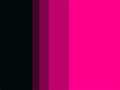 Palette / Black to Neon Pink | Color palette pink, Pink color schemes ...