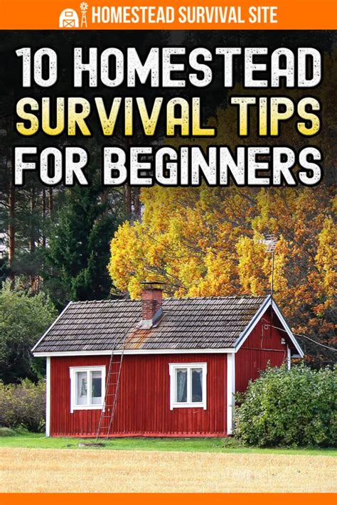 10 Homestead Survival Tips For Beginners