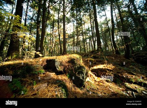 Yamanashi Prefecture, Japan Stock Photo - Alamy