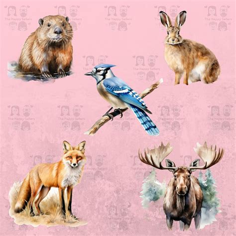 10 Canadian Forest Animals Clipart Pack Instant Download, PNG Images, Transparent Background ...