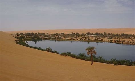 What Is An Oasis? - WorldAtlas