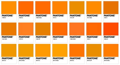 Pin by macinatempeste on feminism | Pantone, Pantone orange, Orange you glad