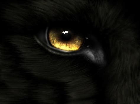 Horror Eyes Wallpapers - Wallpaper Cave