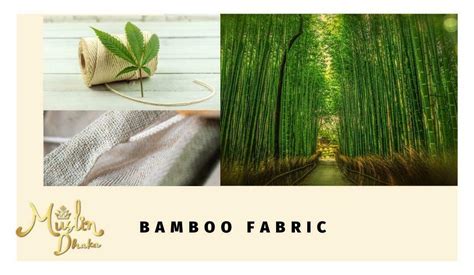 Bamboo Fabric: The sustainable Super Fabric in 2022 - Muslin Dhaka