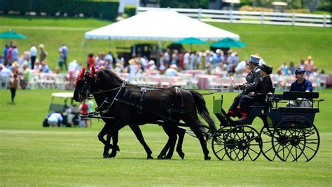 Carriage driving class will help therapy programs