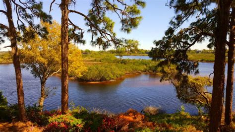 Lake Tarpon Fishing - Florida Bass Fishing Guides