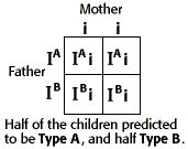 general biology - Blood Type/Punnett Square - Biology Stack Exchange