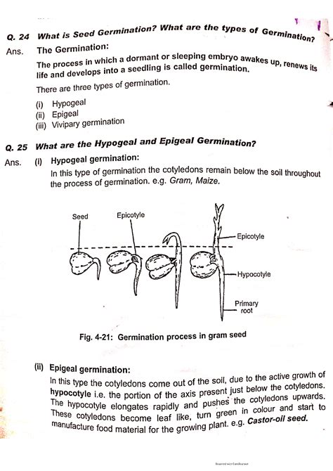 SOLUTION: What is seed germination with types also describe the ...