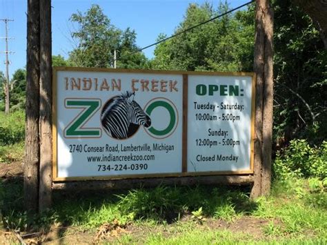 Indian Creek Zoo- Not Just A Petting Farm