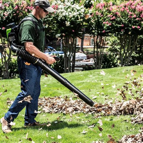 What to Look For in a Leaf Blower | The Family Handyman