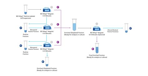 Magnetic Separation Diagram