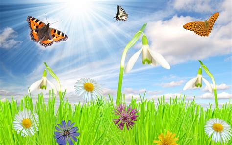 Happy Spring Wallpapers - Animated Images Of Spring Season - 1280x804 Wallpaper - teahub.io