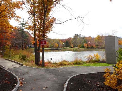 The Daily Woot: Green Hill Park- Worcester