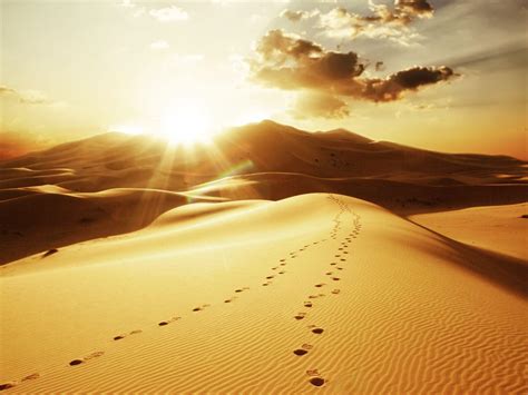 Desert and Sun Wallpapers - Top Free Desert and Sun Backgrounds - WallpaperAccess