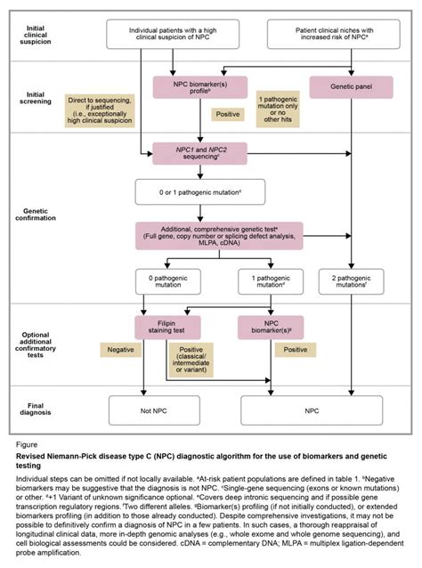 Niemann–Pick Disease Type C | CheckRare