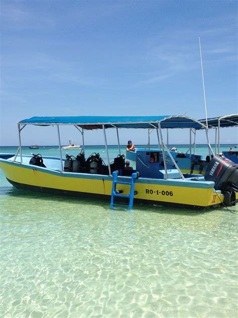 Scuba Diving, Roatan | Scuba diving, Diving, Places to visit