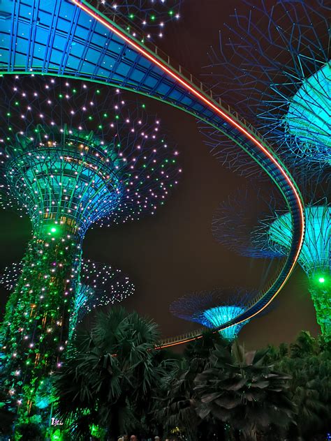 Gardens by the Bay - Night shot : r/singapore