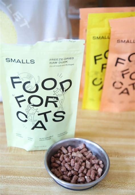 Smalls: Real Food for Cats Review + Discount | Emily Reviews