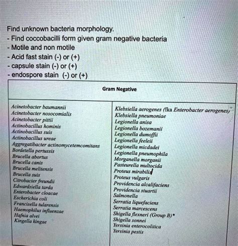 SOLVED:Find unknown bacteria morphology: Find coccobacilli form given gram negative bacteria ...