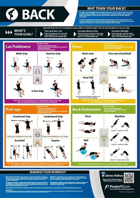 Warm Up Cool Down Exercise Poster Cool Down Exercises, Floor Workouts, Exercise | lupon.gov.ph