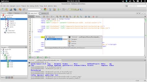 angwebampgonnakillsomebody: ElementaryOS, Netbeans 8 and that smexy new Terminal