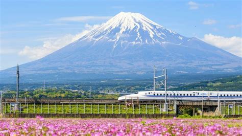 Tìm hiểu về tàu cao tốc Shinkansen - Niềm tự hào của Nhật Bản