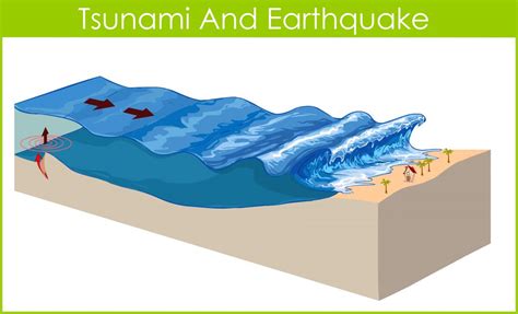 Explain How A Tsunami Is Created