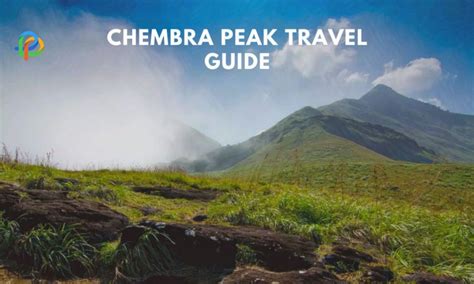 Chembra Peak: A Travel Guide To The Highest Peak In Wayanad