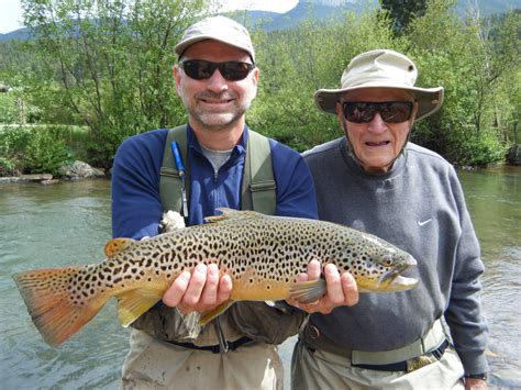 Fly Fishing Techniques using Wet or Dry Flies - Ken's Anglers