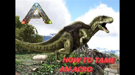 How to Tame an Acrocanthosaurus in Ark: Survival Evolved - YouTube