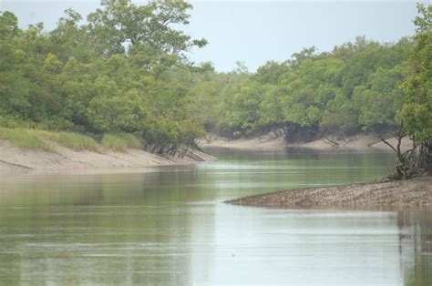 Sundarbans Tiger Reserve — Indian Wildlife Safaris