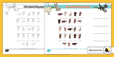 ASL Animals Fingerspelling Activity (Teacher-Made) - Twinkl