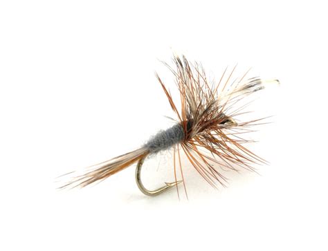 My 5 Favorite All-Purpose Dry Fly Patterns - 2 Guys and A River