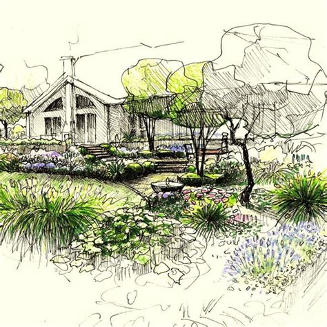 Landscape design sketches - 71 photo