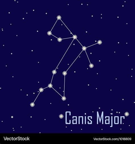 The constellation Canis Major star in the night Vector Image