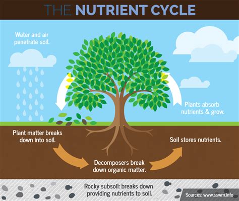 Three-Year Crop Rotation Plan | Fix.com