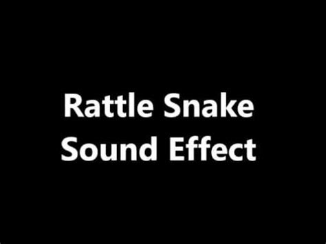 Rattle Snake Sound Effect - YouTube