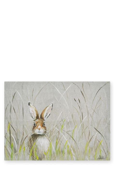 Buy Hare Canvas from the Next UK online shop | Framed art wall decor, Art, Rabbit painting