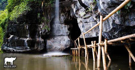 Buffalo Cave in Ninh Binh - Vietnam authentic eco tour