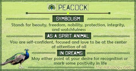 What does a Peacock Symbolize A peacock symbolizes beauty, freedom, nobility, integrity, vision ...